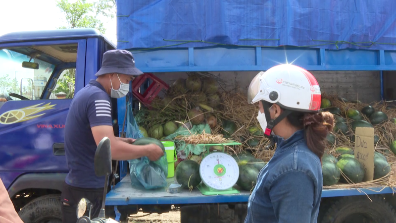 Tiêu thụ dưa hấu ở thị trường nội địa càng khó