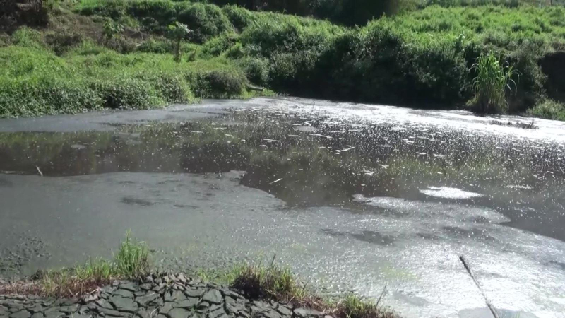 Kê khai nộp tiền hỗ trợ xử lý chất thải trước ngày 31/3