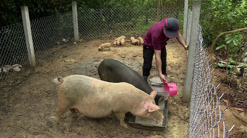 Hỗ trợ sinh kế bền vững cho thanh niên vùng cao