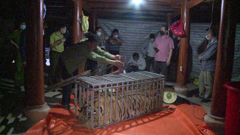 Bắt giữ 3 đối tượng giết mổ động vật hoang dã cấp quý hiếm