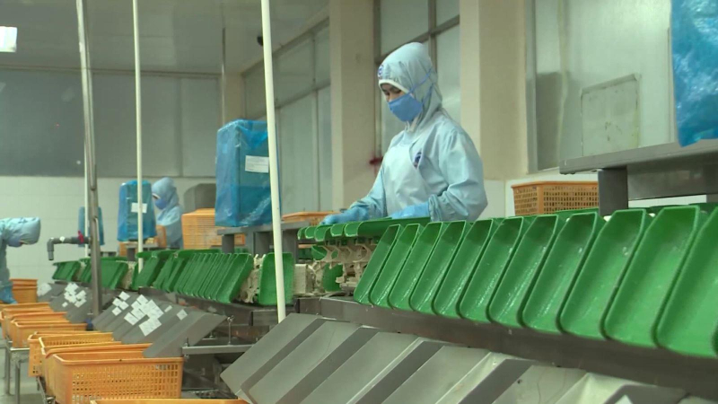 Xuất khẩu thủy sản sang Trung Quốc tăng mạnh