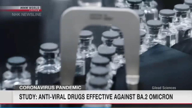 Ba loại thuốc kháng virus hiệu quả với Omicron BA.2
