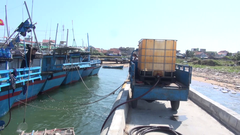 Giá nhiên liệu tăng, ngư dân vượt khó vươn khơi bám biển