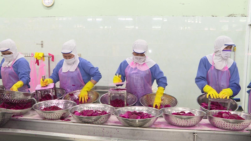 Hoa Kỳ nhập khẩu nông sản lớn nhất từ Việt Nam