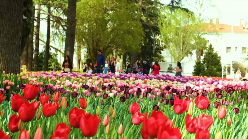 Lễ hội hoa tulip Istanbul 2022 tại Thổ Nhĩ Kỳ
