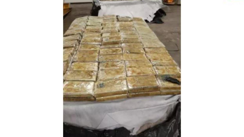 Europol đẩy mạnh truy quét tội phạm ma túy