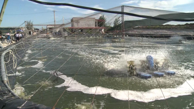 Đề xuất giảm 30% thuế thuê đất và mặt nước