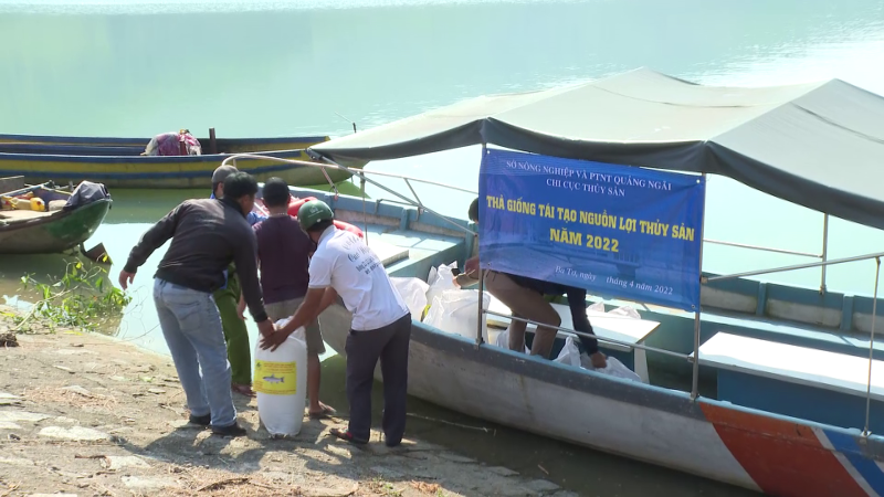 Thả cá tái tạo nguồn lợi thủy sản ở hồ Núi Ngang
