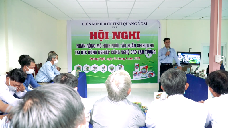 Tham quan mô hình tảo xoắn cấy mô công nghệ cao tại huyện Bình Sơn