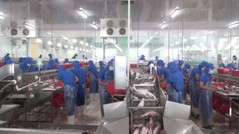 Xuất khẩu sang các thị trường trọng điểm tăng mạnh