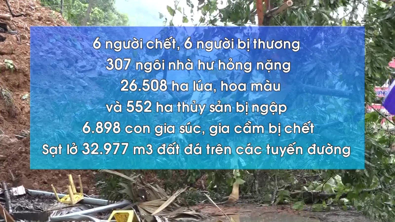 Thiệt hại nặng nề do mưa lũ