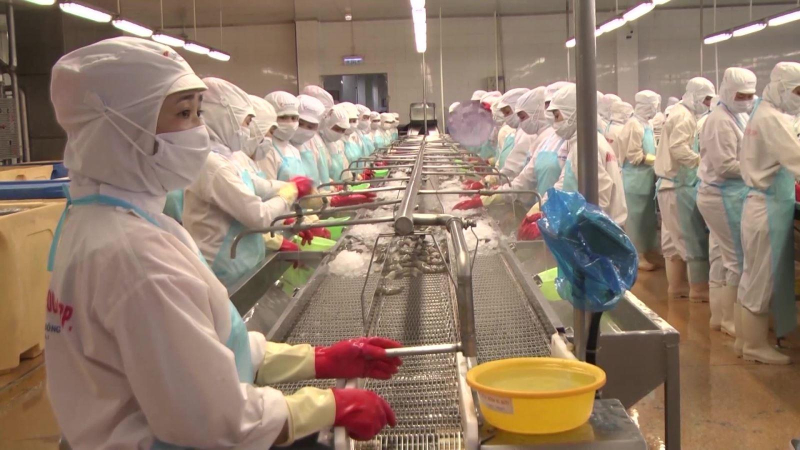 Xuất khẩu thủy sản sang Australia dự báo tăng mạnh