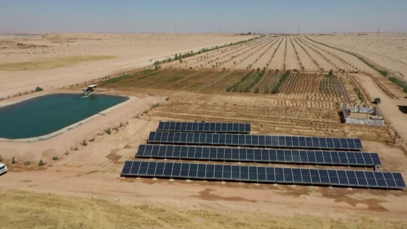 S&aacute;ng kiến v&agrave;nh đai xanh chống b&atilde;o c&aacute;t