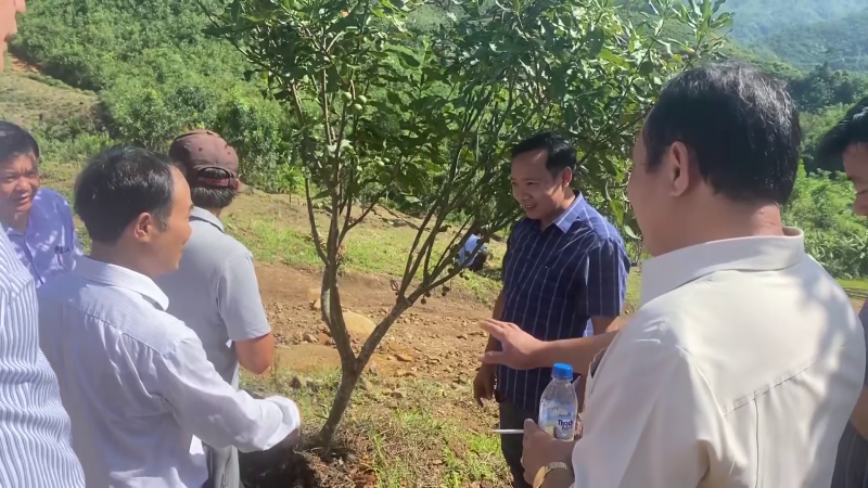 HĐND tỉnh giám sát việc xây dựng Nông thông mới tại huyện Sơn Tây