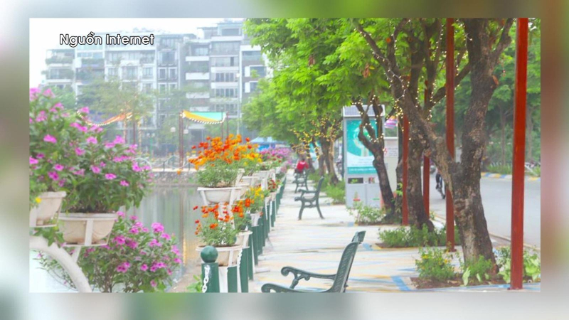 Tái khởi động phố đi bộ Trịnh Công Sơn