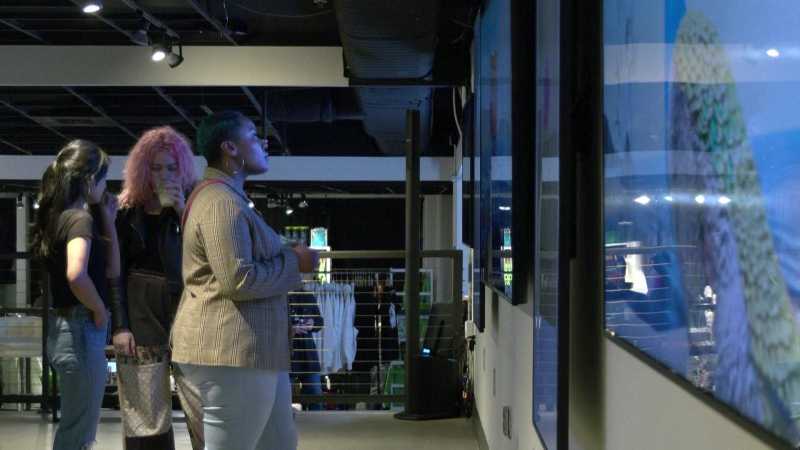 Bảo tàng kỹ thuật số NFT đầu tiên trên thế giới