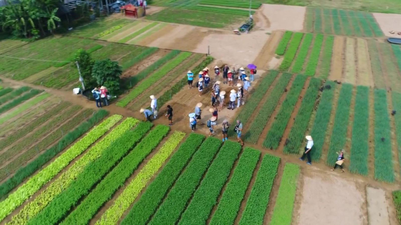 Khách quốc tế đến Việt Nam tăng mạnh