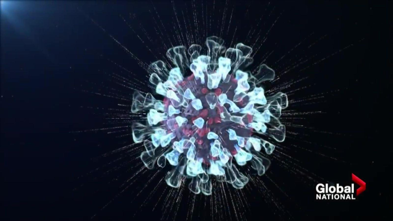 Biến thể phụ BA.5 của Omicron đã vào Việt Nam