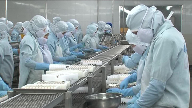 Xuất khẩu thủy sản nhiều nhất sang Mỹ