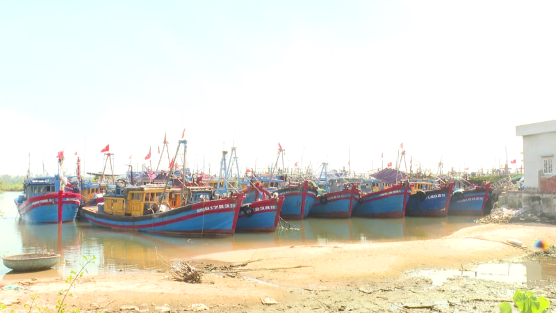 Tàu cá nằm bờ ngày càng nhiều