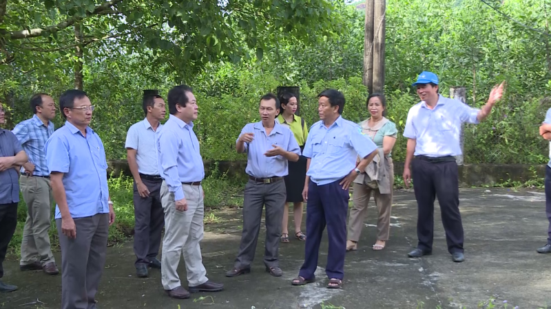 Phó Chủ tịch UBND tỉnh Võ Phiên kiểm tra thực tế tại Ba Tơ