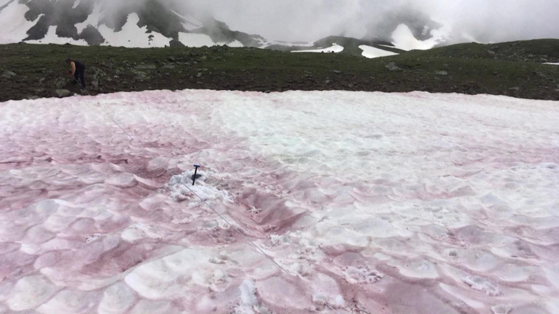 “Tuyết máu” trên dãy Alps