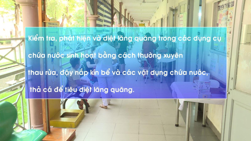 Bộ Y tế kêu gọi mỗi tuần dành 10 phút diệt bọ gậy