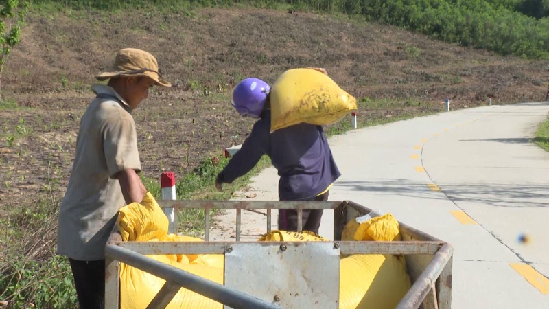 Chuyển nước lên đồi tưới keo