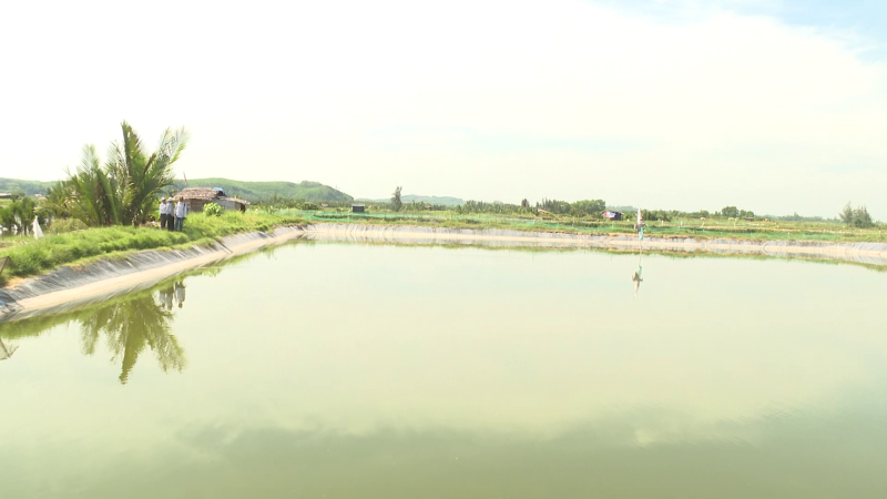 Bình Sơn mở rộng mô hình nuôi thủy sản kết hợp