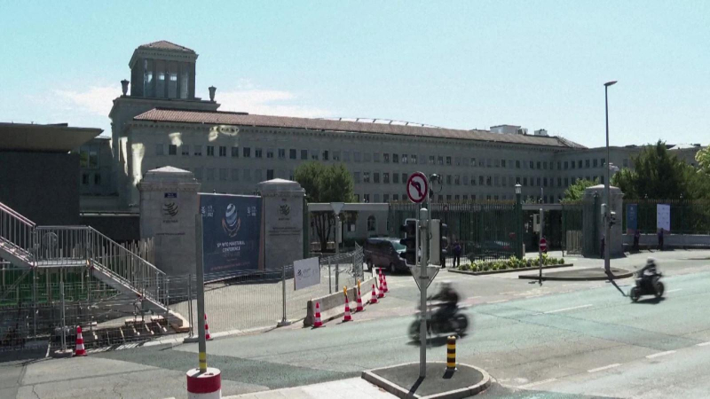 WTO chưa đạt được nhất trí về giải pháp an ninh lương thực