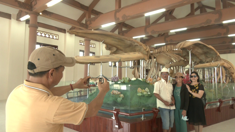 Nhà trưng bày bộ xương cá ông đảo Lý Sơn hút khách