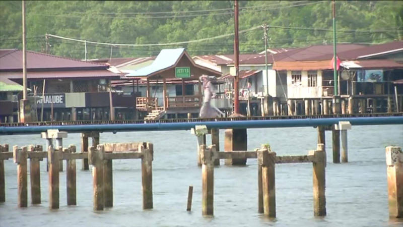 Nhiều nước hưởng ứng Ngày Môi trường thế giới