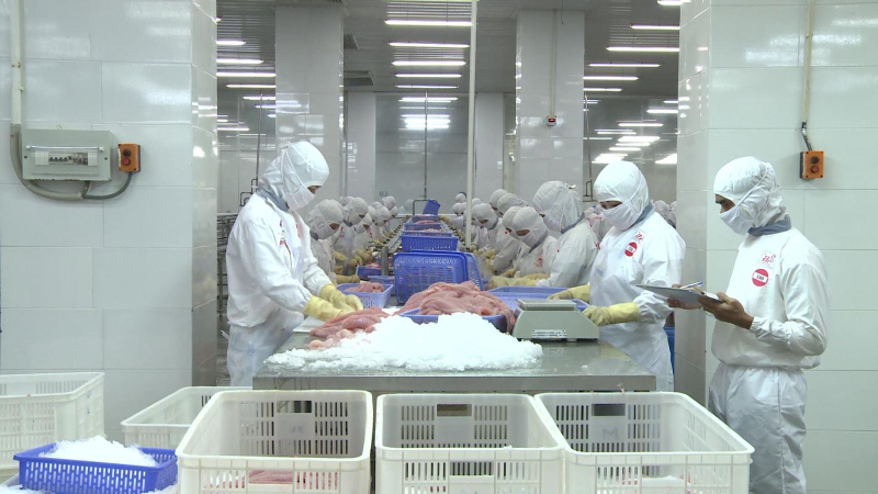 Trung Quốc nới quy định chống dịch với h&agrave;ng thủy sản Việt Nam