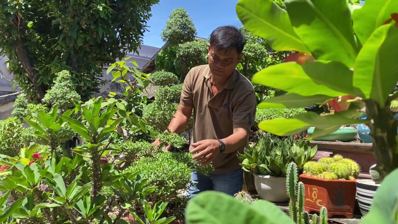 Tai nạn r&igrave;nh rập ngư d&acirc;n nghề lặn đ&ecirc;m