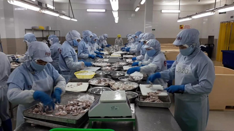 Khánh Hòa xuất siêu trên 308 triệu USD