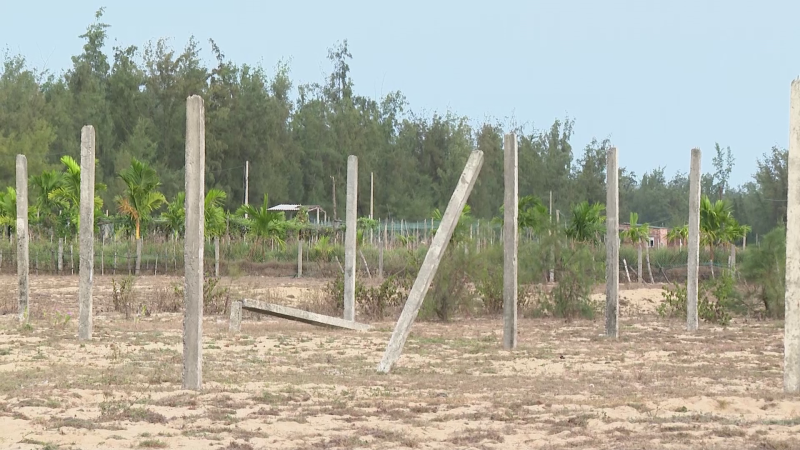 Ì ạch các dự án đầu tư nông nghiệp