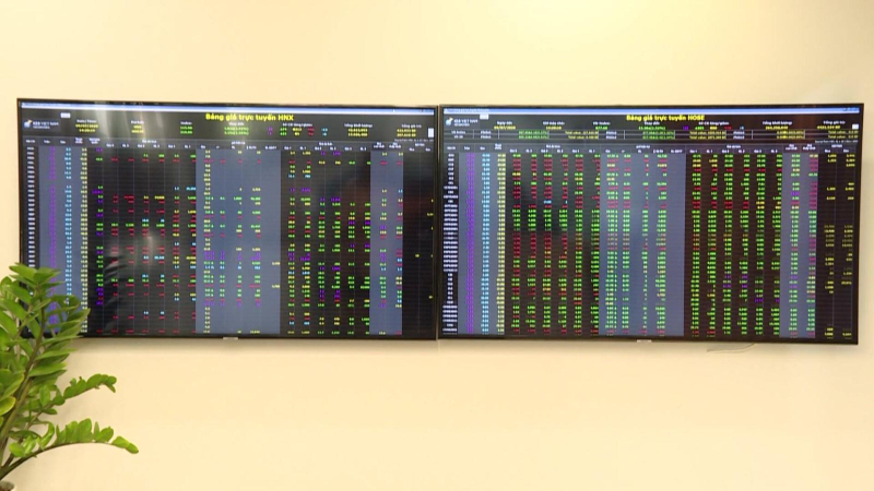 Một cổ phiếu nhóm FLC bị đình chỉ giao dịch