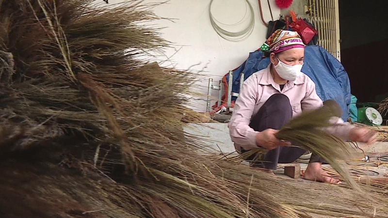 Vươn lên thoát nghèo từ chổi chít