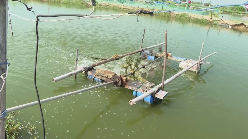 Những điều người nu&ocirc;i thủy sản cần biết