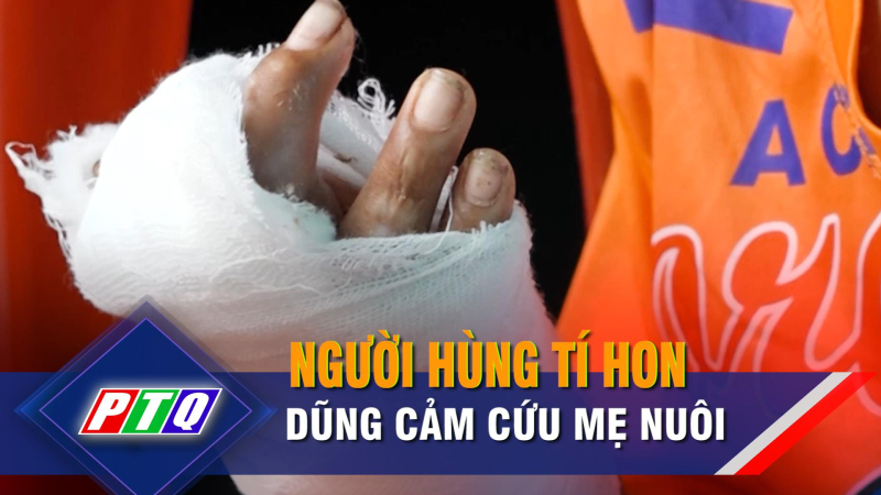 Người hùng tí hon dũng cảm cứu mẹ nuôi