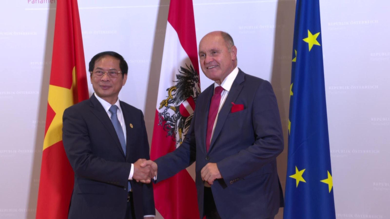 Bộ trưởng Ngoại giao Bùi Thanh Sơn thăm chính thức CH Áo