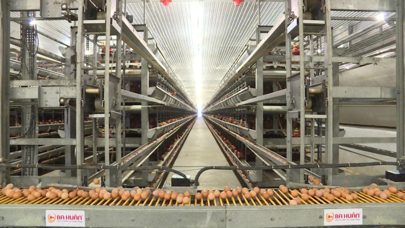 23% HTX nông nghiệp bán hàng trên thương mại điện tử