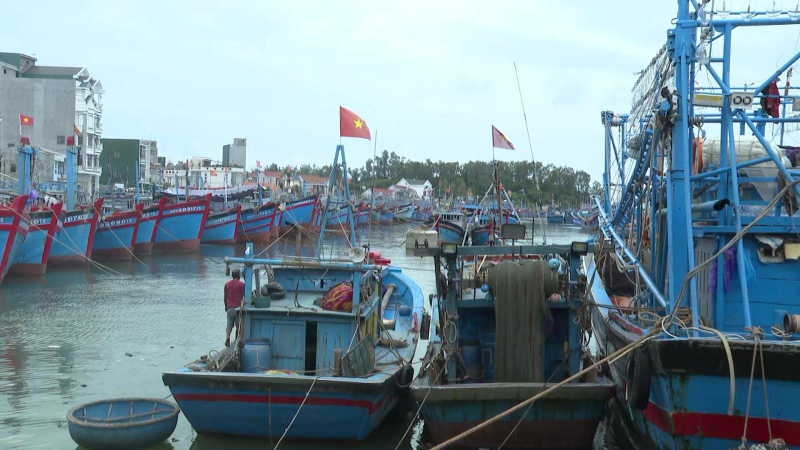 Thị Xã Đức Phổ ứng phó bão số 4