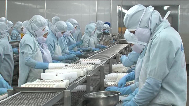 Xuất khẩu tôm cán mốc 3 tỷ USD.