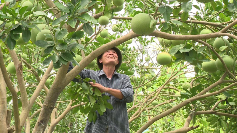 Tăng cường đầu tư vào an sinh xã hội sau đại dịch