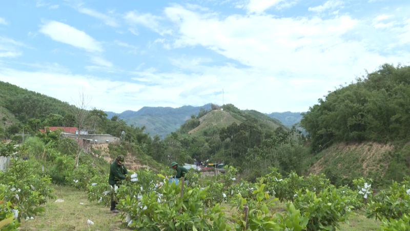 Cựu chiến binh Quảng Ng&atilde;i s&aacute;ng m&atilde;i phẩm chất bộ đội Cụ Hồ