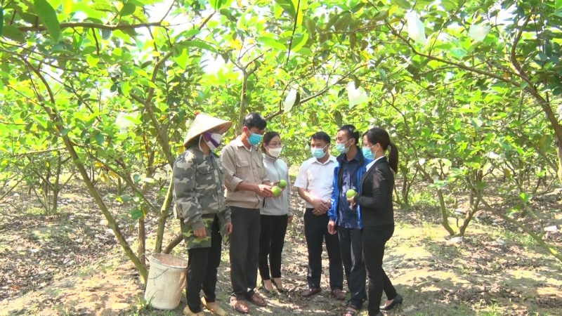 Ninh Bình hỗ trợ đưa nông sản lên sàn thương mại điện tử