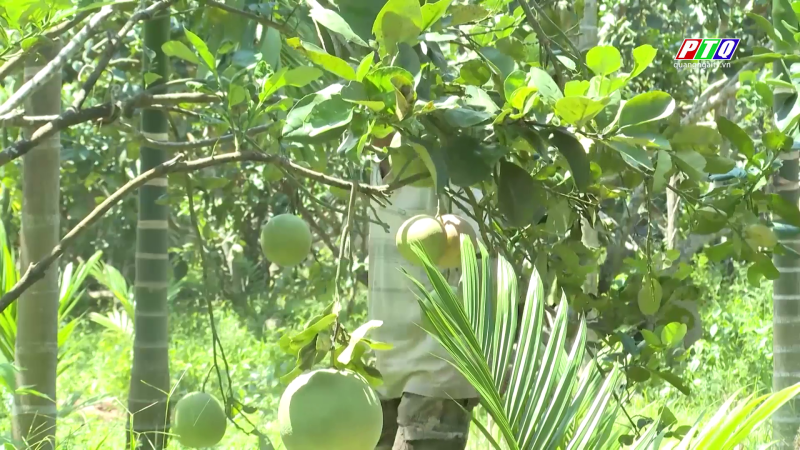 Thôn nông thôn mới kiểu mẫu Xuân Vinh