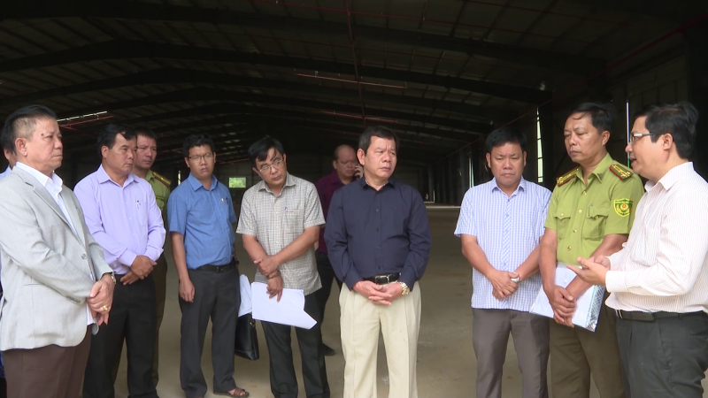 Cần xử lý nghiêm vi phạm thực hiện dự án sản xuất ván ghép thanh ở Ba Động, huyện Ba Tơ