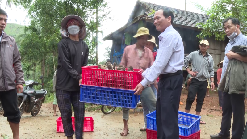 Trao tặng con giống và thức ăn chăn nuôi cho hộ nghèo Minh Long